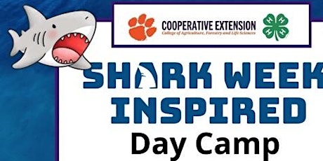 Dillon 4-H  Shark Week  Inspired Day Camp