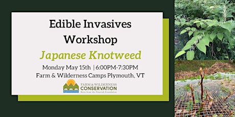 Edible Invasives Workshop: Japanese Knotweed primary image