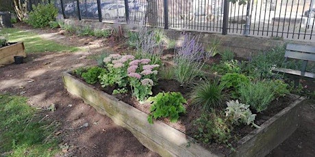 Volunteer Gardening Session at Ordsall Park