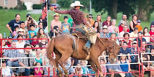 Primaire afbeelding van 14th Annual Bold Enough Challenge Rodeo