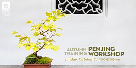 Penjing Workshop: Autumn Training  primary image