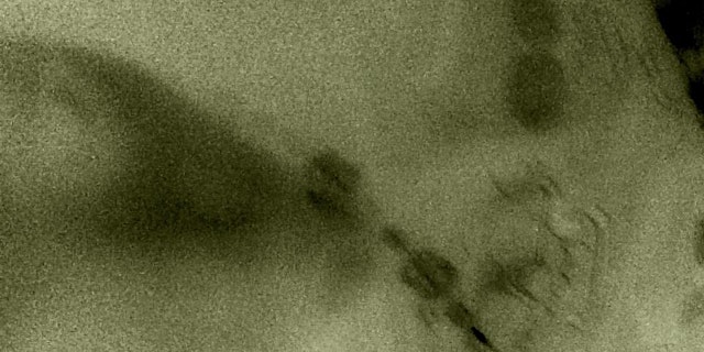 Image principale de THE VIP 92$avage And LIL BREEZYAND LIL HOPES THE REAL RAPPERS TOUR 2019