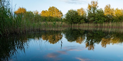 SIPC Needingworth RSPB Ouse Fen