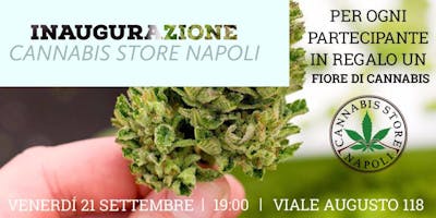 Inaugurazione Cannabis Store Napoli Inaugurazione Cannabis Store Napoli