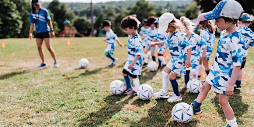 Cours Sportball Gratuit à Chambly (Dimanche) primary image