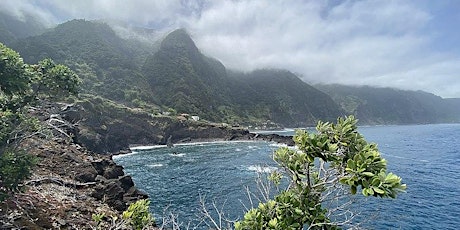 Hiking & Exploring Madeira this Spring