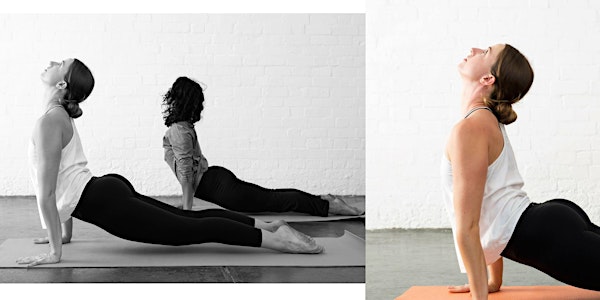 Contemporary Yoga at MPavilion