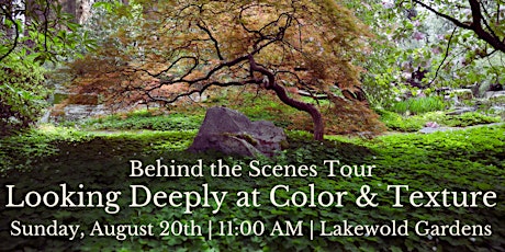 Behind the Scenes Tour: Looking Deeply at Color & Texture