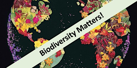 Biodiversity Matters! Workshop primary image
