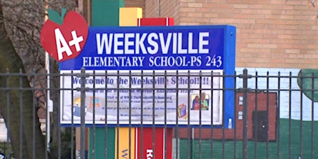 PS 243 primary image