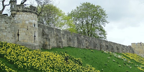 York’s Medieval City Walls