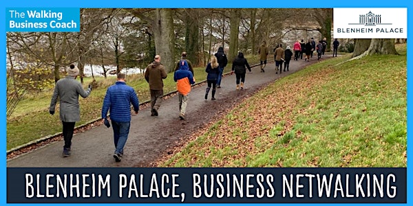 Business Netwalking in Blenheim Palace, Oxon. Wed 17th July, 9.30am-11.30am