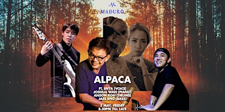 ALPACA - A Groovy Singular Journey