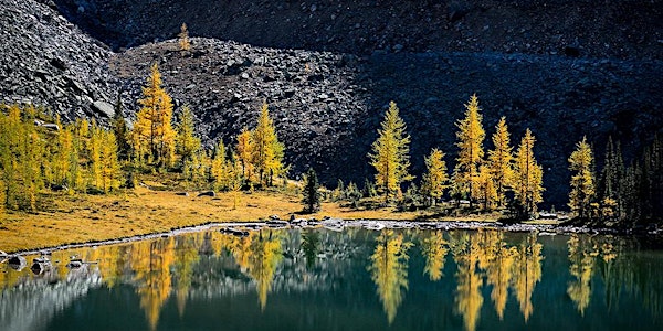 Lake O'Hara Landscape Photography Tour, 2018a Edition