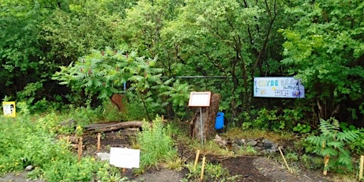 Guided Walk of the Clyde Bee & Butterfly Patch on Clyde at Castle Hill primary image