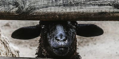 Https%3a%2f%2fcdn.evbuc.com%2fimages%2f49963205%2f4046799683%2f1%2foriginal