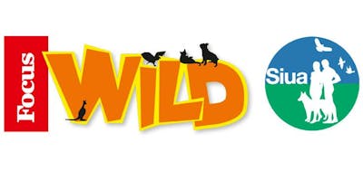 Giocare Educando con Focus Wild Giocare Educando con Focus Wild