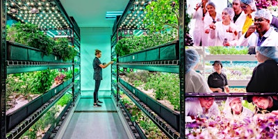 Imagen principal de Private Tour & Tasting @ Farm.One, Brooklyn's Cutting-Edge Hydroponic Farm