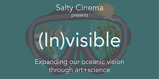 Salty Cinema: (In)visible primary image