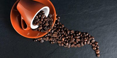Caffetteria, corso gratuito ad Assisi Caffetteria, corso gratuito ad Assisi