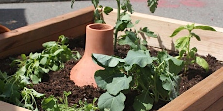 Watering with Oyas in Your Garden  primärbild