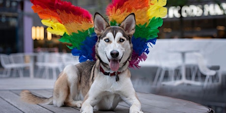 Manhattan West Woof Fest: Paws for Pride