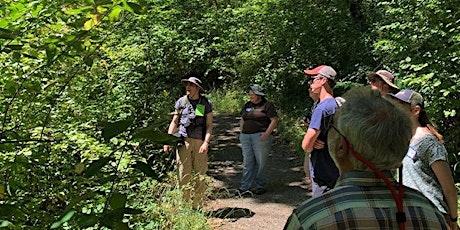 Walk with a Naturalist August 9 primary image