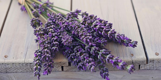 Imagen principal de May Essential Oil of the Month (Wednesday, May 8, 3:00 - 4:00 p.m. CT)