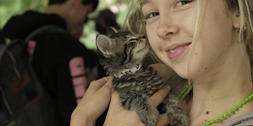Smitten for Kittens, Adoption Event  & Fundraiser.