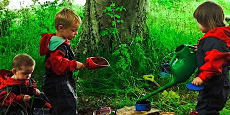 Nature, Play, Risk taking and making the learning visible primary image