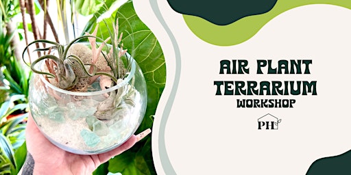 Air Plant Terrarium Workshop primary image