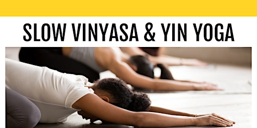 Slow Vinyasa & Yin Yoga - Gentle Movement + Deep Stretching! primary image