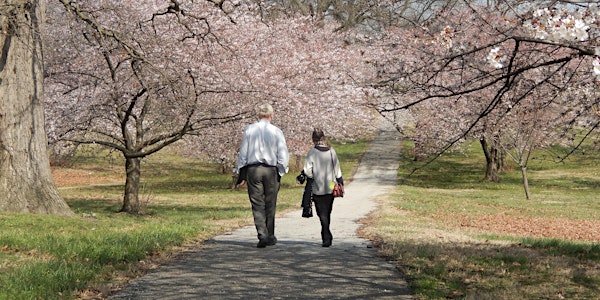 Plant Flowering Tree Trails – Druid Hill Park