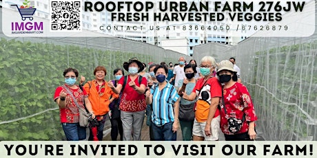Rooftop Urban Farm Visit