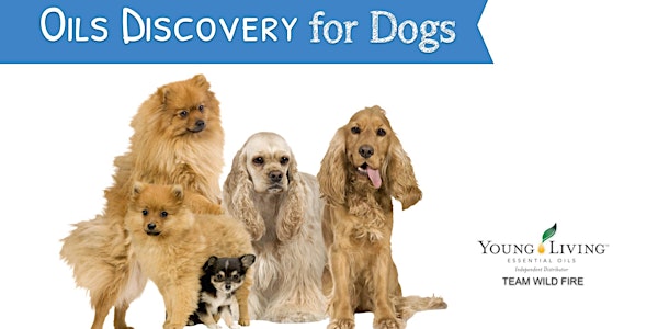 Oils Discovery for Dogs - Kellyville