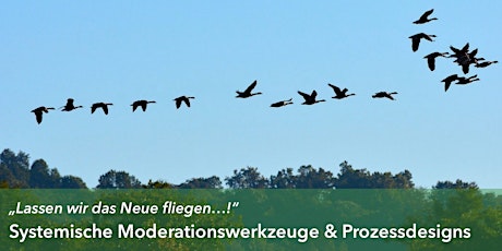 Hauptbild für Systemische Moderationswerkzeuge & Prozessdesigns