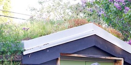 Greening Rooftops in Alberta with Kerry Ross primary image