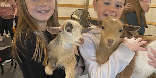 Goat Yoga Nashville- Jubilant June
