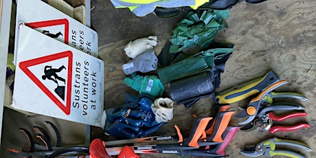 Comber Greenway Task day & Wildflower Patch - Sandown Road