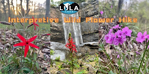 Hauptbild für Interpretive Wildflower Hike