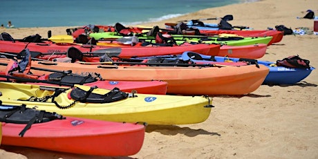 Interwoven: Kayaking at Hammocks Beach State Park