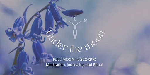 Flower Full Moon Meditation and Journaling Ritual primary image