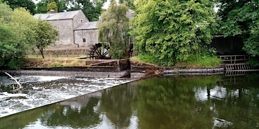 Martry Mill bread baking experience  primärbild