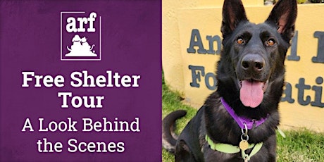 Free Behind-the-Scenes Tour of ARF