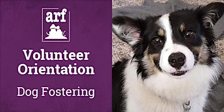 Dog Foster Orientation 5/4/23