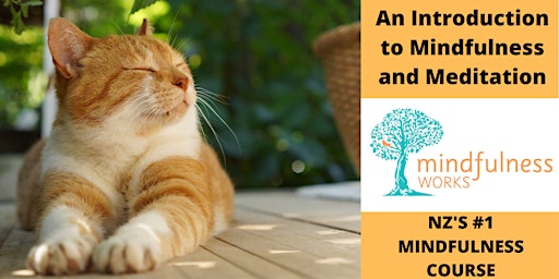 Primaire afbeelding van An Introduction to Mindfulness and Meditation 4-week Course  — New Plymouth