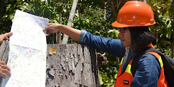 Local lessons to global implications – pathways to effective forest-related...