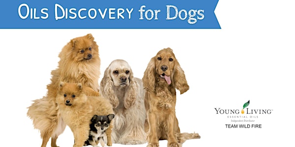 Oils Discovery for Dogs - Charlestown