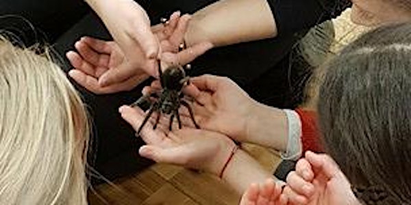 Creature Courage's Creepy Crawley Experience
