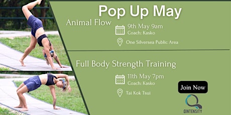 Get Fit and Wild with Animal Flow primary image